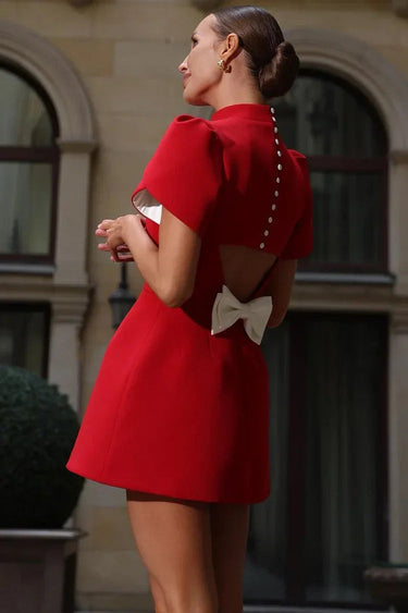 Adriana - Mini Dress 5