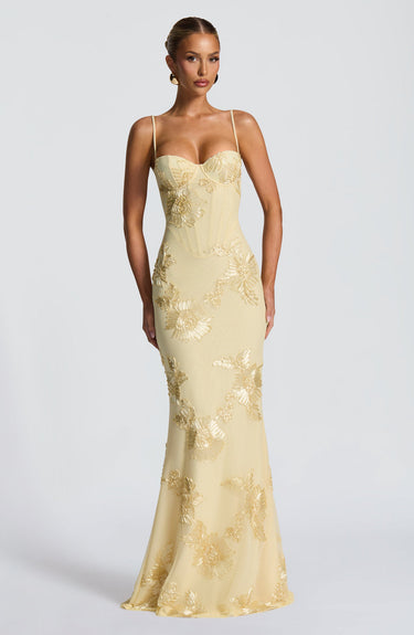 Théoline Floral Jacquard Corset Maxi Dress 0