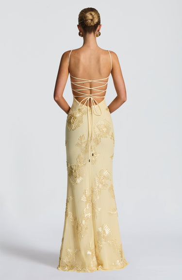 Théoline Floral Jacquard Corset Maxi Dress 1