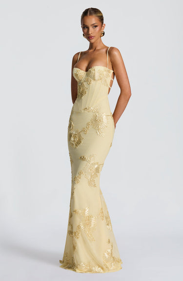 Théoline Floral Jacquard Corset Maxi Dress 2