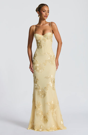 Théoline Floral Jacquard Corset Maxi Dress 3