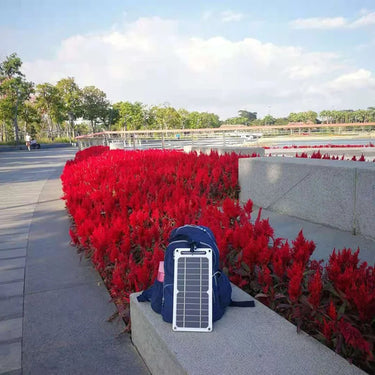 Portable Solar Panel Charger With USB Output 6W Monocrystalline Waterproof For Indoor And Outdoor Use - Image 2