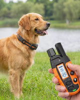 Remote Training Collar With Long-Range And Three Adjustable Modes - Image 1