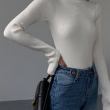 Lucy | Women’s Spring Stylish Ribbed Turtleneck Sweater 10