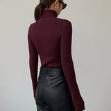Lucy | Women’s Spring Stylish Ribbed Turtleneck Sweater 6
