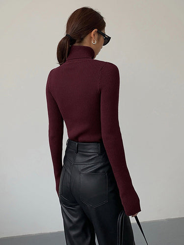 Lucy | Women’s Spring Stylish Ribbed Turtleneck Sweater 6