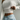 Off Shoulder Ribbed Cropped Sweater 0