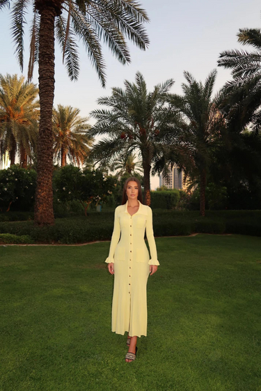 Sylvie Knit Midi Dress 2
