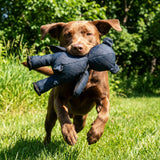 Chew Resistant Interactive Bear Dog Toy For Heavy Chewers With Squeaker - Image 2