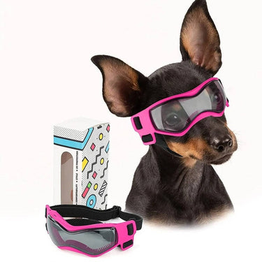 Dog Goggles With Curved Uv-Protective Lenses And Anti-Fog Vents For Breeds - Image 7