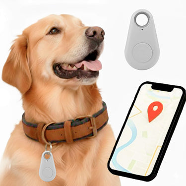 Dog GPS Tracker With Real-Time Location Updates And No Monthly Fees IP67 Waterproof Design - Image 13