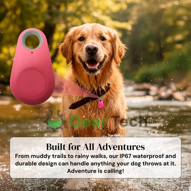 Dog GPS Tracker With Real-Time Location Updates And No Monthly Fees IP67 Waterproof Design - Image 5