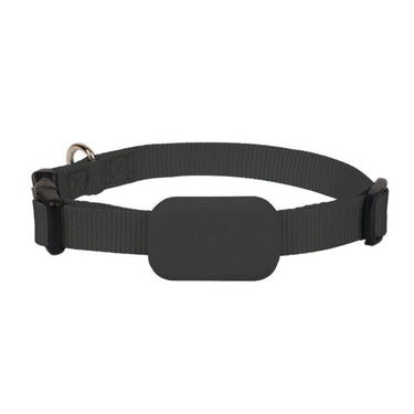 GPS Tracker Collar For Dogs & Cats With Live Tracking And Weatherproof Design - Image 3