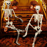 Halloween Skeleton Decor Posable Full-Body White Bone - Image 4