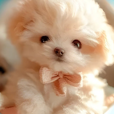 Interactive Plush Puppy Toy With Realistic Movements And Smart Interactive Play For Endless Fun - Image 9
