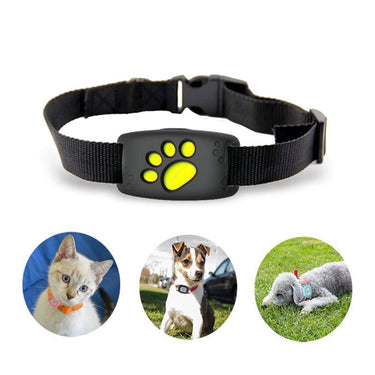 Pet GPS Tracker Traceur Pour Animaux Domestiques With Yellow Paw Print For Dogs - Image 5