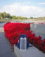 Portable Solar Panel Charger With USB Output 6W Monocrystalline Waterproof For Indoor And Outdoor Use - Image 2