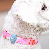 Smart Animal GPS Tracker For Dogs With Real-Time Location Updates And Never Lose Again Technology Easy To Attach To Collar - Image 8