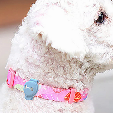 Smart Animal GPS Tracker For Dogs With Real-Time Location Updates And Never Lose Again Technology Easy To Attach To Collar - Image 8