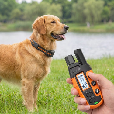 Remote Training Collar With Long-Range And Three Adjustable Modes - Image 1