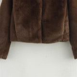 Women's Plush Brown Faux Fur Statement Jacket